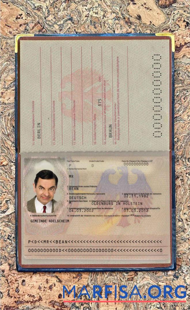 Downloadable Germany passport (2005 2017) photo look real example